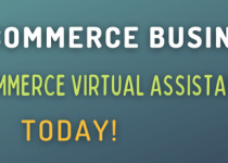 hire Ecommerce Virtual Assistant