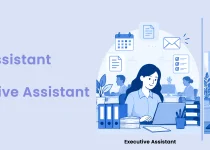 Executive Assistant vs. Administrative Assistant
